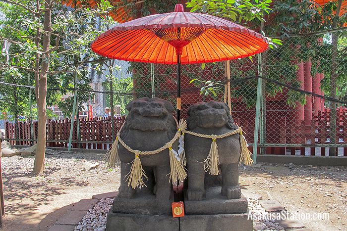 The Married Komainu are very special and precious statues