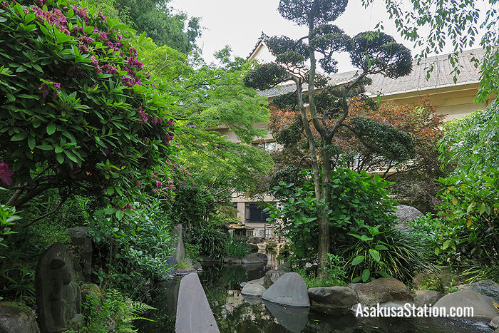 Inside the temple garden