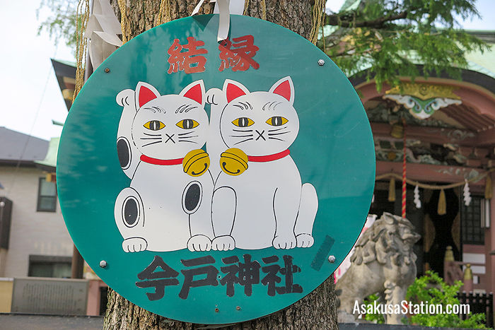 An image of two maneki-neko at Imado Jinja