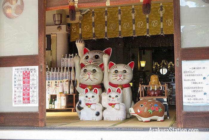 The cats inside the main shrine building
