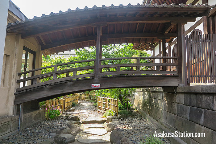 The wooden walkway