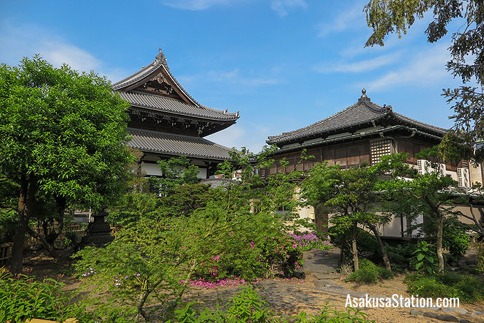 A view from the garden