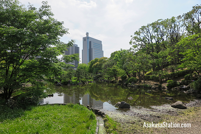 The pond in the eastern side of the park