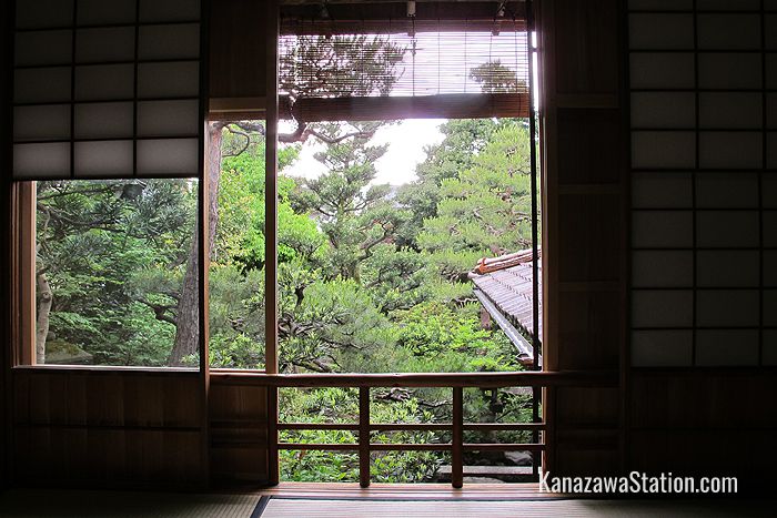 A view from the tea room