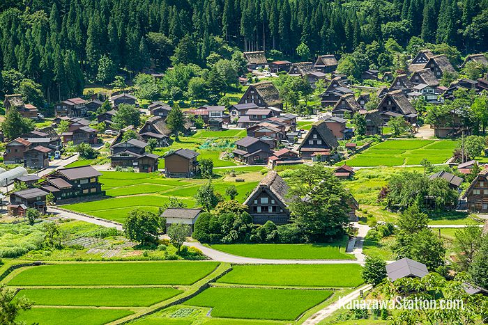 Green fields surround Shirakawa-go in the summer