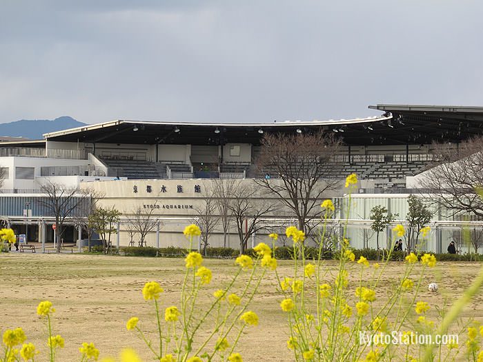 Umekoji park and Kyoto aquarium