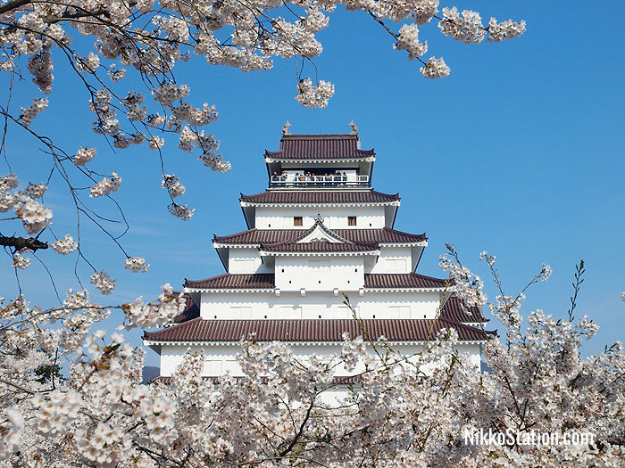 Tsuruga-jo Castle in the spring