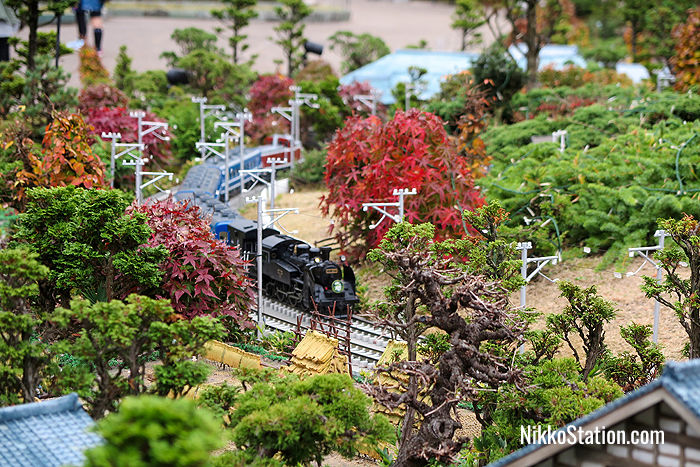 A model version of the SL Taiju at Tobu World Square