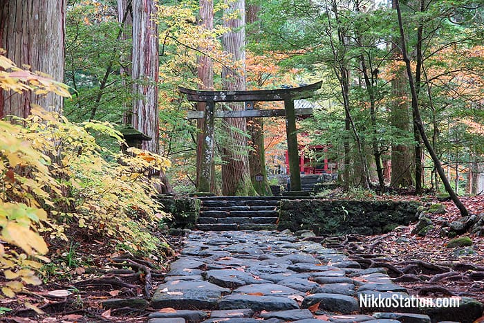 A shrine in the woods: Takinoo Jinja