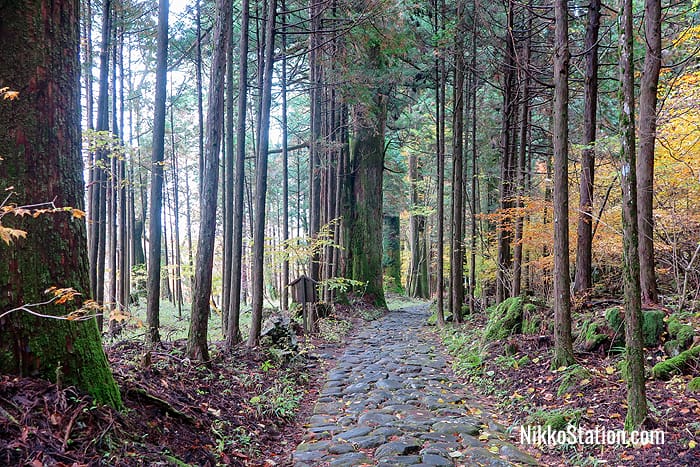 On the trail to Takinoo Jinja and the Shiraito Falls