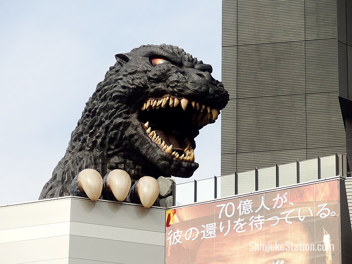 Godzilla looks out over Kabukicho from Hotel Gracery