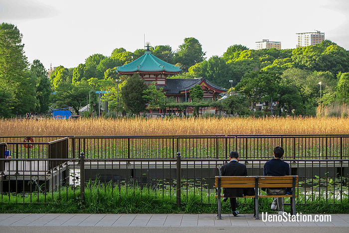 A view over the Lotus Pond and the Bentendo Temple