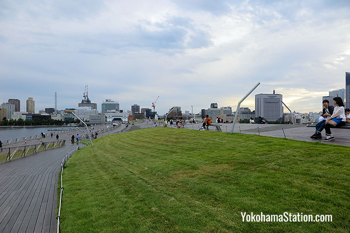 Grass and a wooden boardwalk create a pleasant rooftop park